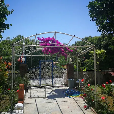 דירה Gala *