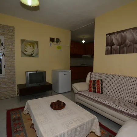 Gala داليان